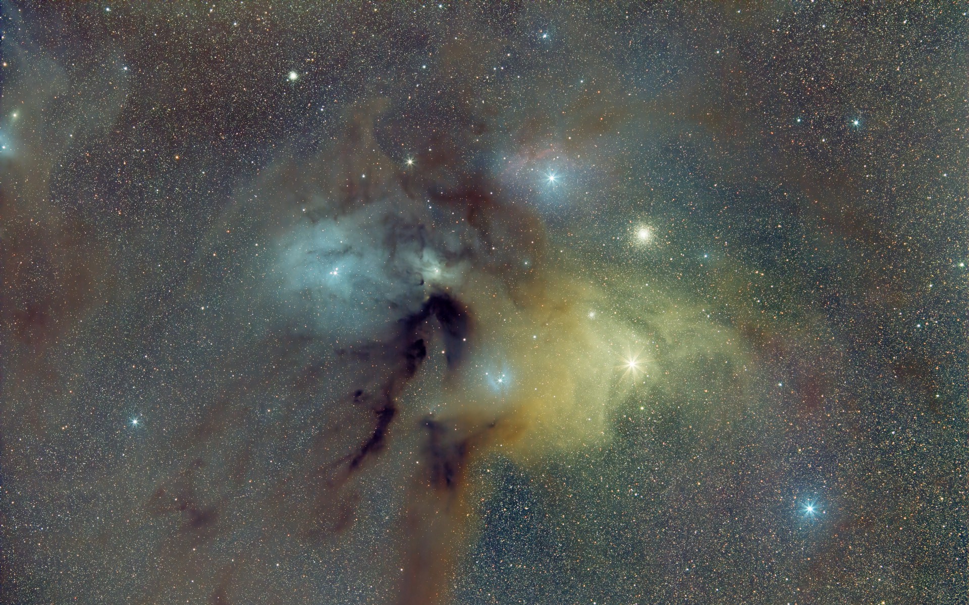 image from Rho Ophiuchi