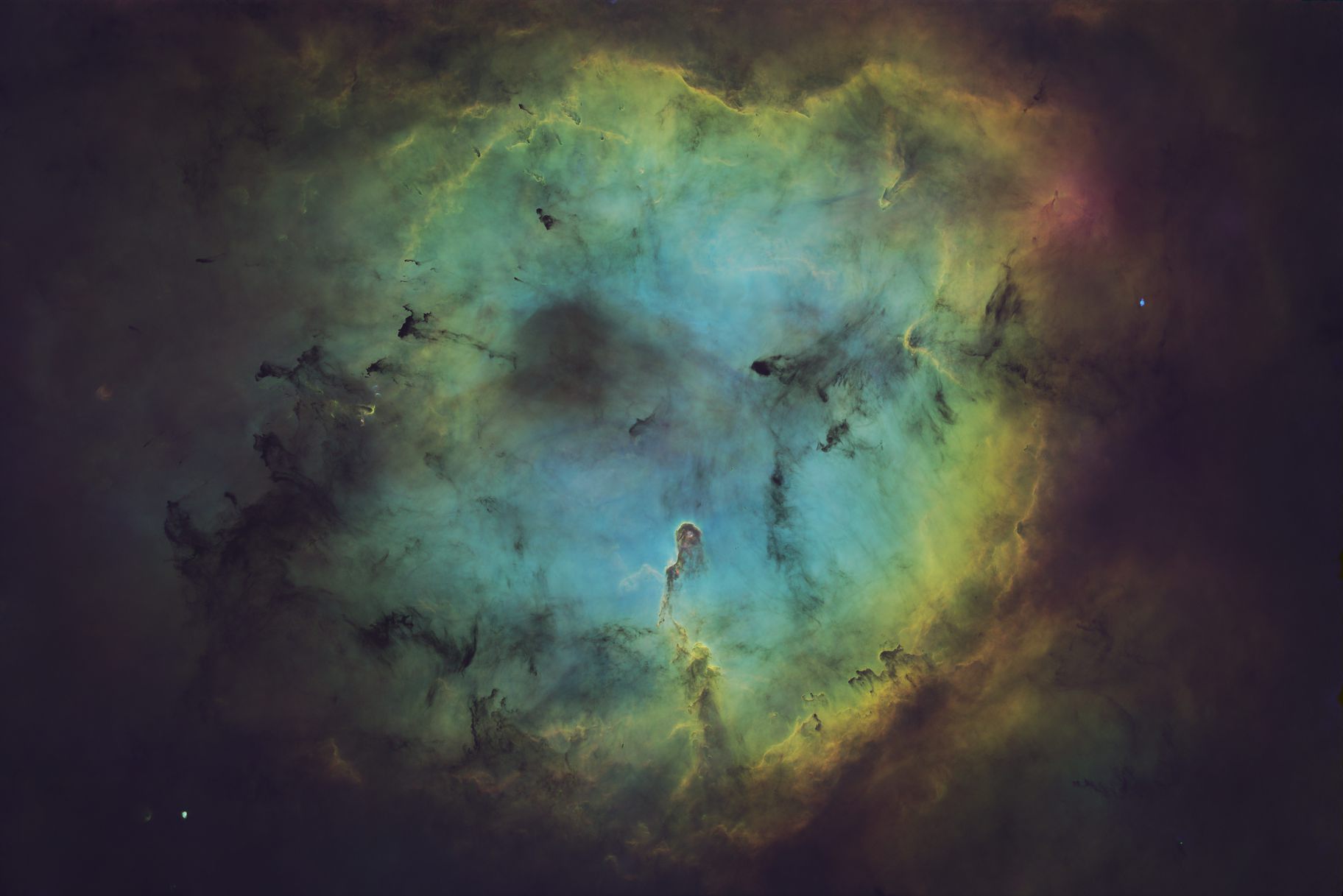 Elephant Trunk without stars